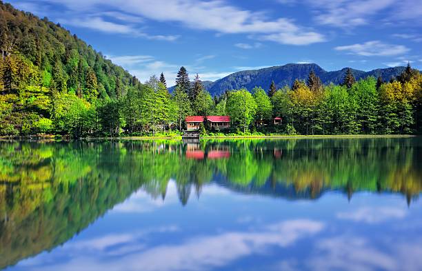 Artvin El Cerrahi