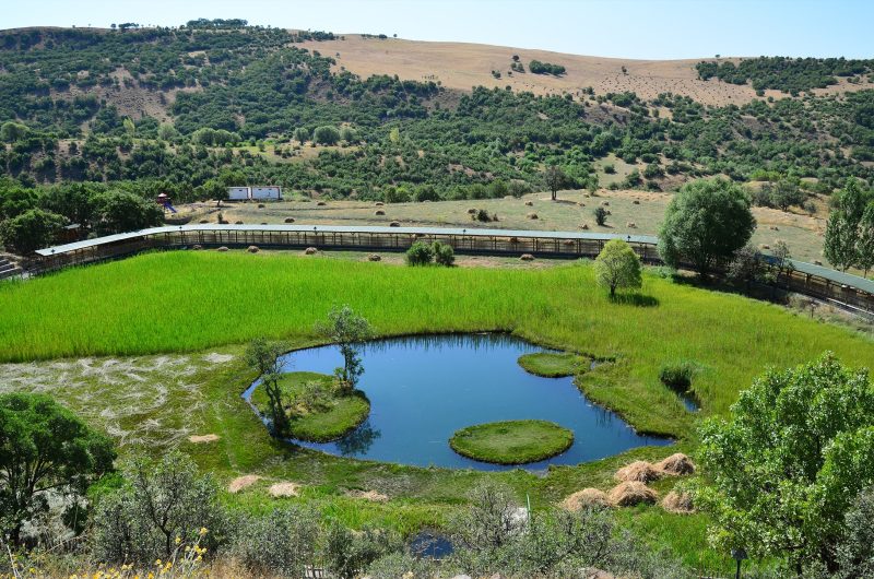 Bingöl El Cerrahi