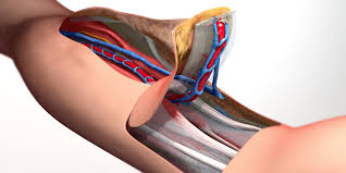 Radial Forearm Free Flap (RFFF) Nedir? Nasıl Uygulanır?
